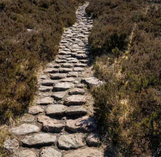 Esther Jackson Psychotherapy